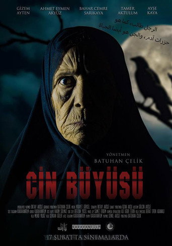 Movie poster for Cin Büyüsü (2023)