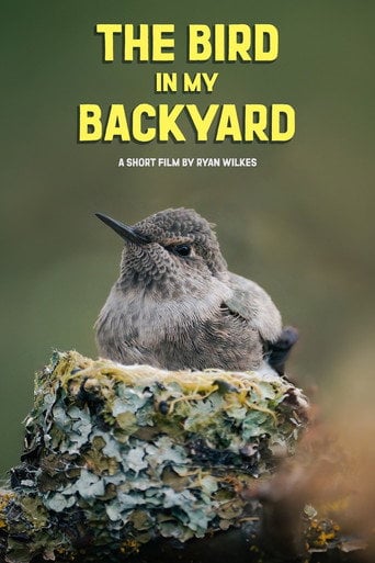 Movie poster for The Bird in My Backyard (2025)