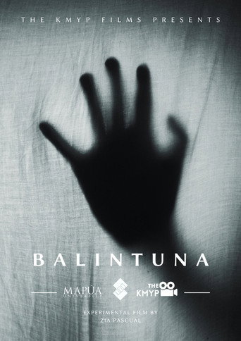 Movie poster for Balintuna (2020)