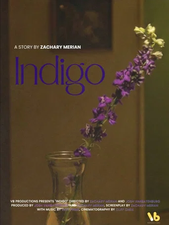 Movie poster for INDIGO (2026)