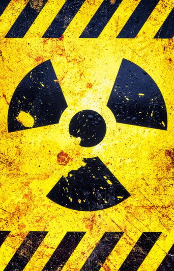 Movie poster for Chernobyl and Fukushima: The Lesson (2016)