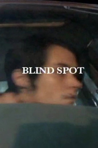 Movie poster for Blind Spot (2009)