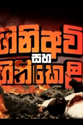 Firearms and Fireworks poster