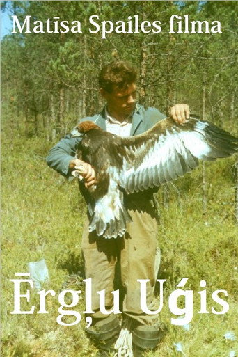 Movie poster for Eagle Man (2015)