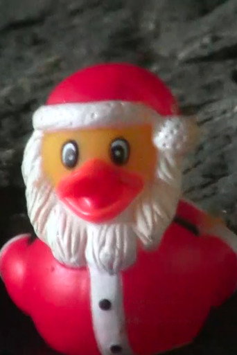 Movie poster for Duck Santa (2025)