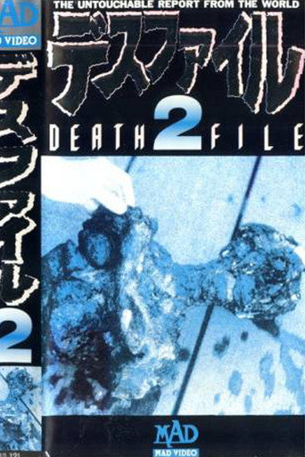 Movie poster for Death File 2 (1989)