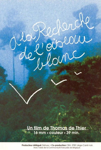 Movie poster for A la recherche de l'oiseau blanc (1996)