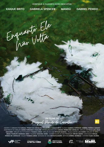 Movie poster for Enquanto Ele Não Volta (2024)