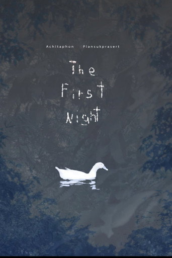Movie poster for The First Night (2018)