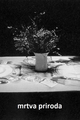 Movie poster for Still Life (1974)