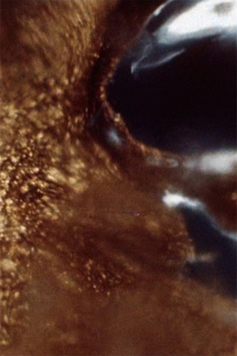 Movie poster for Black Ice (1967)