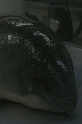Movie poster for Necropsy of a Harbour Porpoise (Seeing From our Eyes into Theirs) (2015)