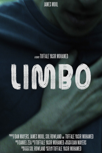 Movie poster for Limbo (2025)