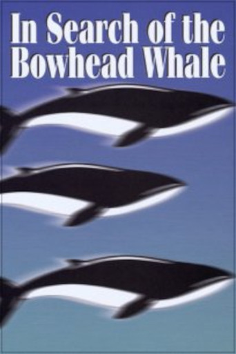 Movie poster for In Search of the Bowhead Whale (1974)