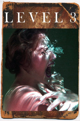 Movie poster for Level 3 (2021)