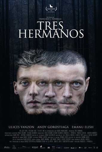 Movie poster for Three Brothers (2024)