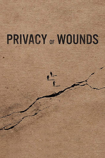 Movie poster for Privacy of Wounds (2018)