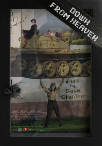 Movie poster for Down from Heaven (2015)