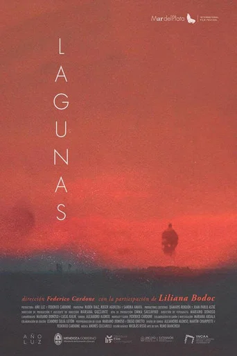 Movie poster for Lagunas (2024)