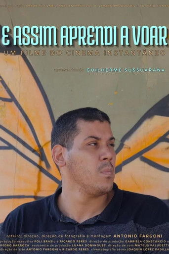 So I Learned to Fly poster