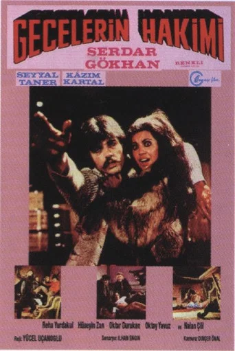 Movie poster for Gecelerin Hakimi (1973)