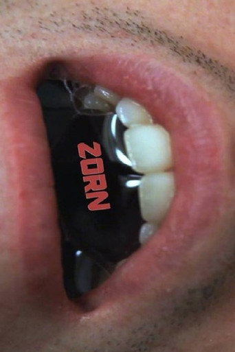 Movie poster for Zorn (2015)