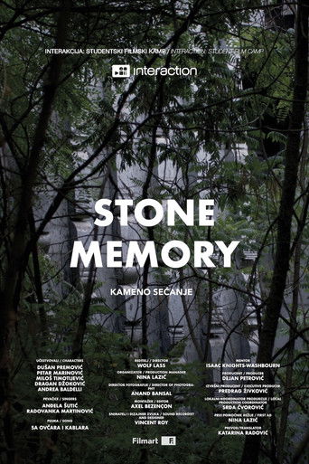 Stone Memory poster