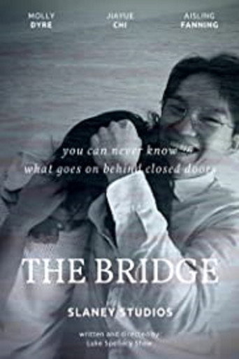Movie poster for The Bridge (2021)