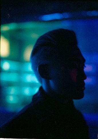 Secret Lives of Asians at Night poster