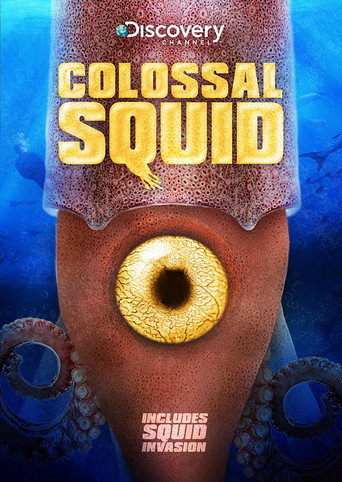 Movie poster for Colossal Squid (2008)