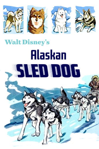Movie poster for Alaskan Sled Dog (1957)