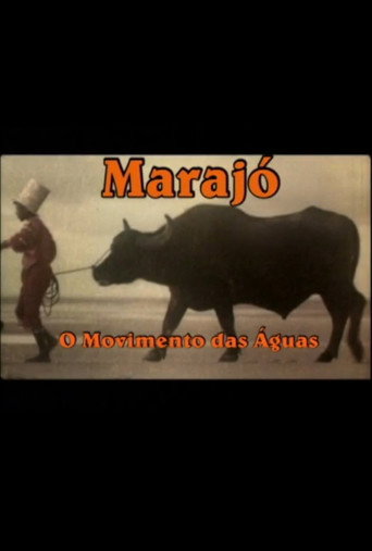 Marajó: A Origem das Águas poster