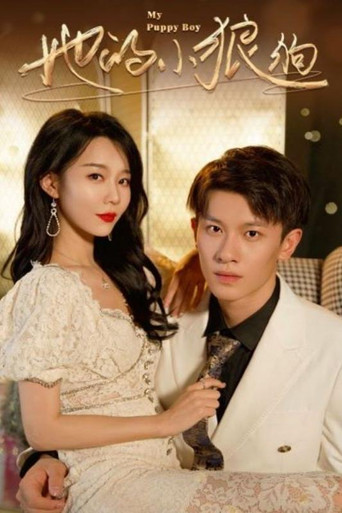 她的小狼狗 poster