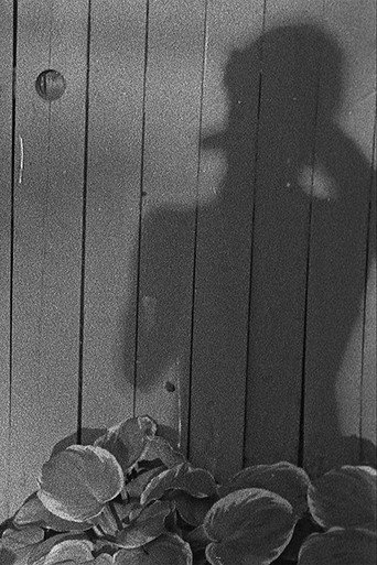 Feather Family poster