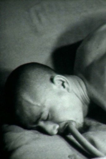 Movie poster for Performance by Taku Furusawa (1971)