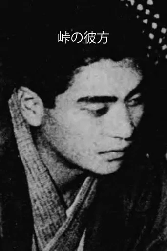 Movie poster for Beyond The Pass (1924)