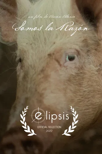 Somos la razón poster
