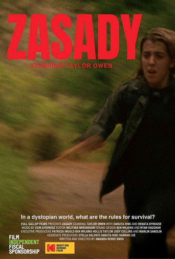 Movie poster for Zasady