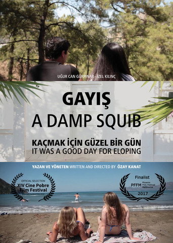 Movie poster for A Damp Squib (2017)