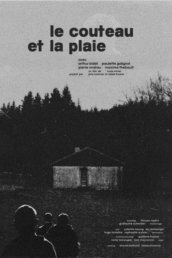 Movie poster for The Blade, The Wound (2025)