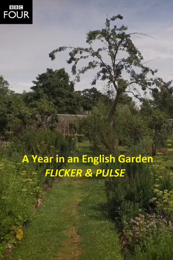 Movie poster for Flicker & Pulse (2016)