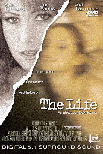Movie poster for The Life (2002)