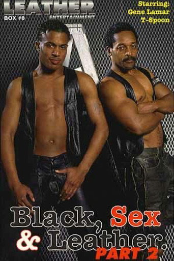 Movie poster for Black, Sex & Leather 2 (1996)