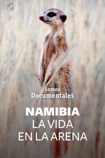 Movie poster for Namibie, la vie des sables (2022)