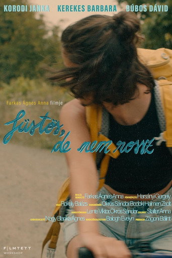 Movie poster for Smoky Like the Last Day of Summer (2023)