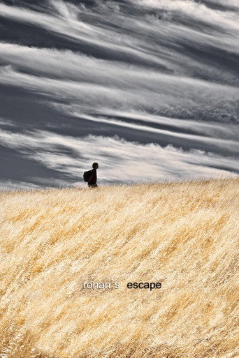 Movie poster for Ronan's Escape (2010)