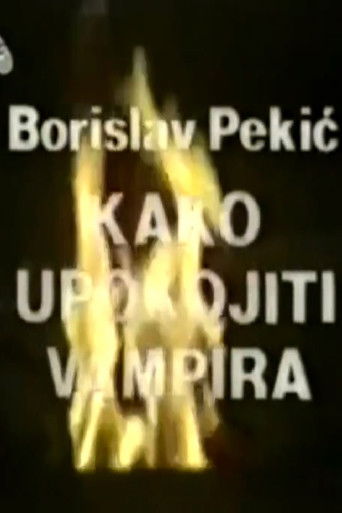 How to Quiet a Vampire poster