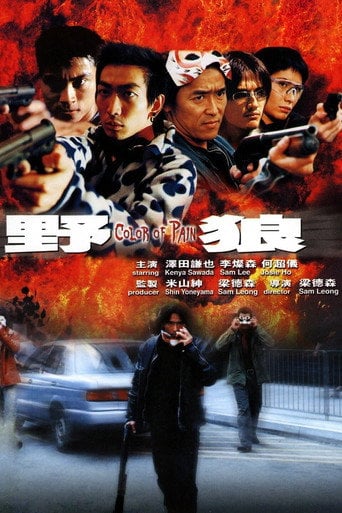 Movie poster for Color of Pain (2002)