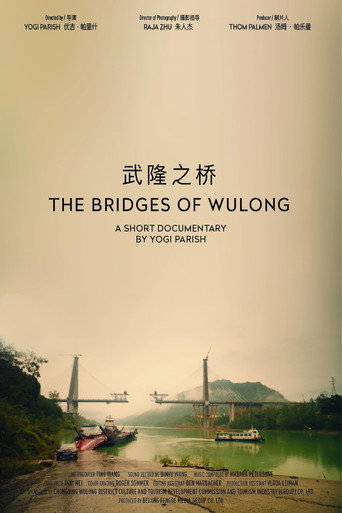 Movie poster for The Bridges Of Wulong (2024)