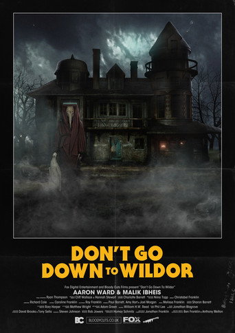 Movie poster for Don’t Go Down to Wildor (2018)